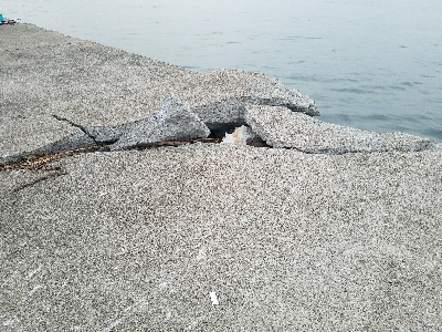 太刀魚釣り　～予想以上に小さいの多い～