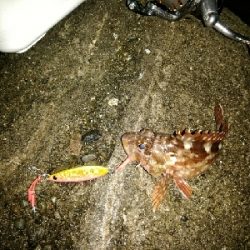 幸先のいいスタート