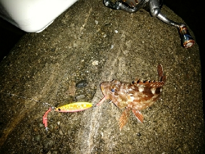 幸先のいいスタート