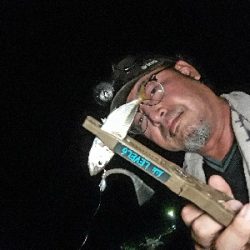 おひさの淡路島キャンプ