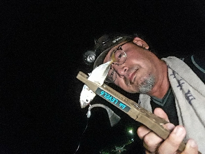 おひさの淡路島キャンプ