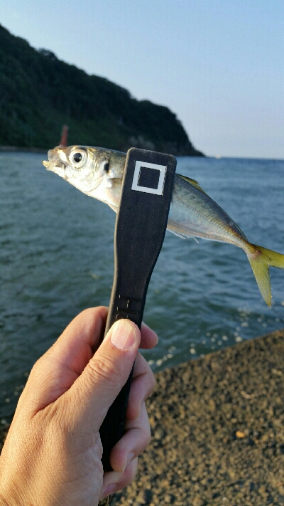 香住アジング遠征No2