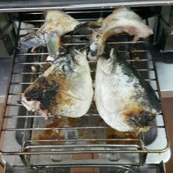 海上釣堀からの神戸タチウオ釣り