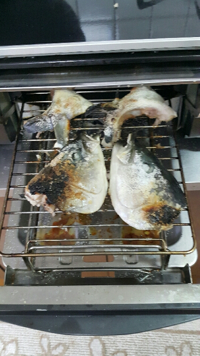 海上釣堀からの神戸タチウオ釣り