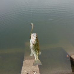 リザーバー釣行