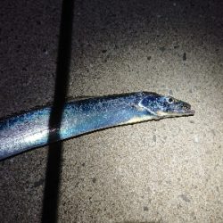 テクニカル刀狩り