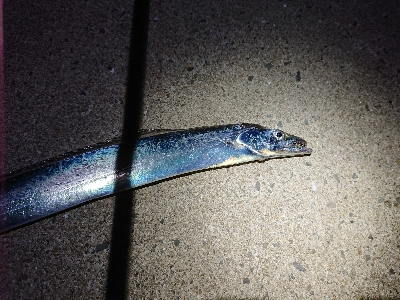 テクニカル刀狩り