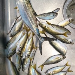 気付いたら３種目