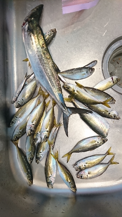 気付いたら３種目