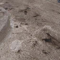 旅行合間釣行！！