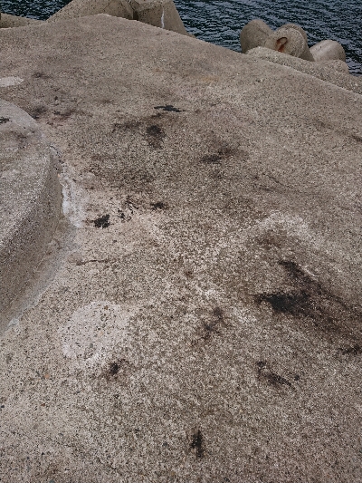 旅行合間釣行！！