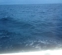 初めてのオフショアヒラメポンポン