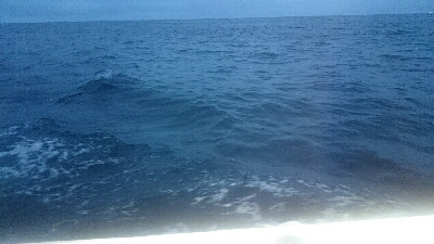 初めてのオフショアヒラメポンポン