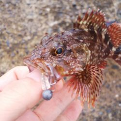 ボートがダメなら沖堤防！