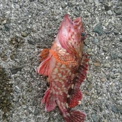 ダブル‼つ抜け(^^)vｯ