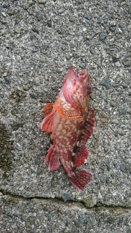 ダブル‼つ抜け(^^)vｯ