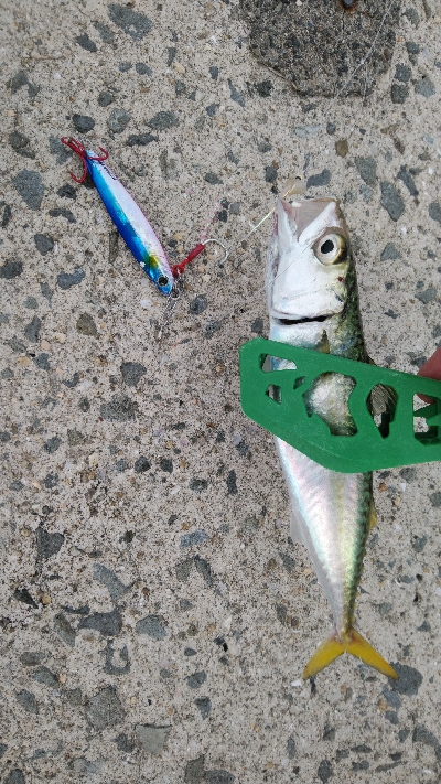 復活のアラバマン!