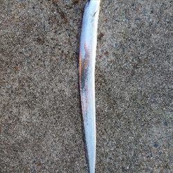 台風後の神戸沖堤防