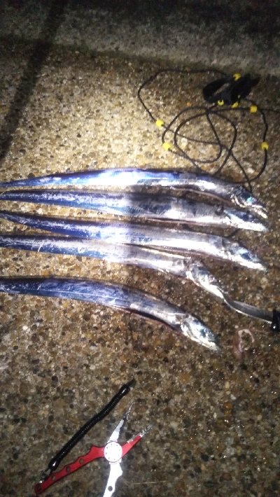 ファミリーフィッシング