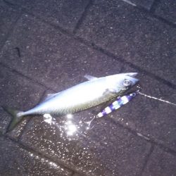 雨の中、台風前に