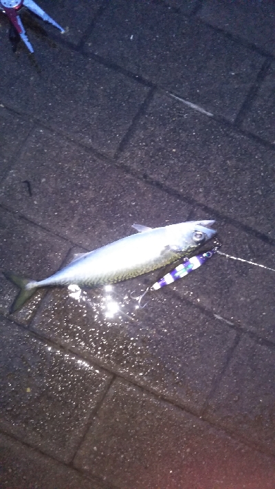 雨の中、台風前に