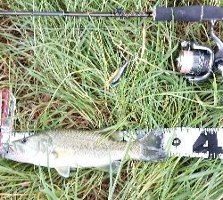 まさかのスモール