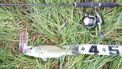 まさかのスモール