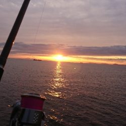 タチウオ時合い短いです。