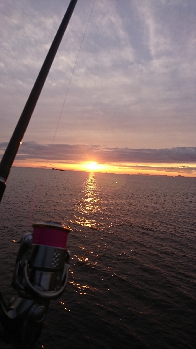 タチウオ時合い短いです。