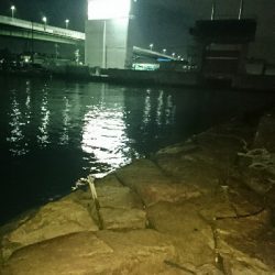 最高記録更新ならず(  ；∀；)