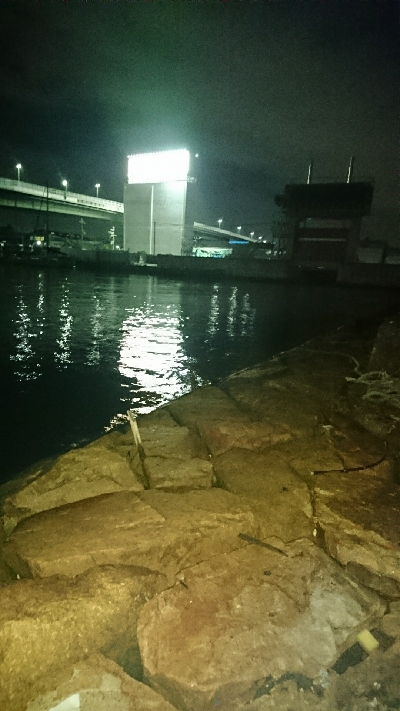 最高記録更新ならず(  ；∀；)