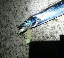 あたりはあるけど