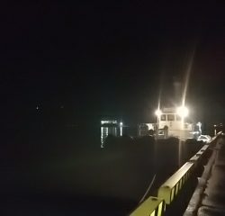 キス、真鯛、オオモンハタ