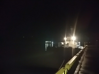 キス、真鯛、オオモンハタ