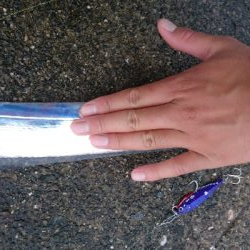 セイゴ・タチウオ