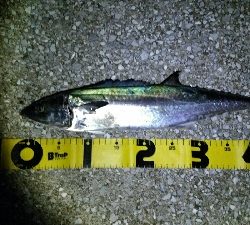 好調のはずが…