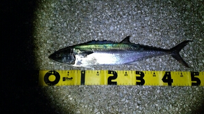 好調のはずが…