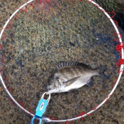 曇天で雰囲気バツグン！