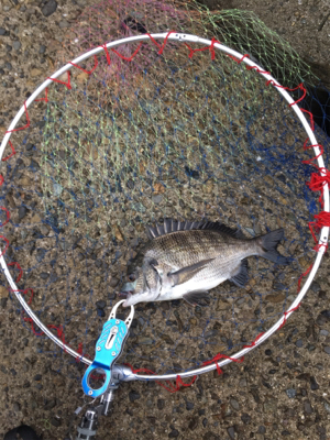 曇天で雰囲気バツグン！