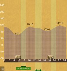 はぐれケンサキ