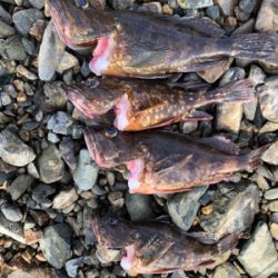 親父たちの釣行 第10弾