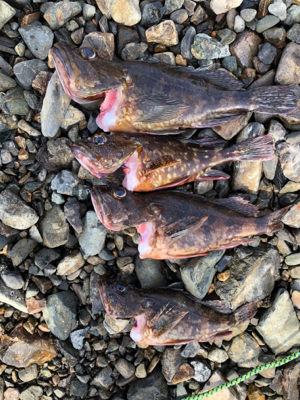 親父たちの釣行 第10弾