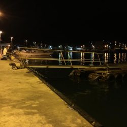 台風が来る前に。