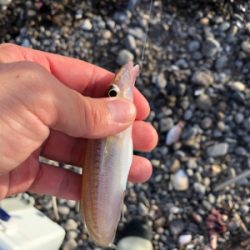 キスをちょっとだけ