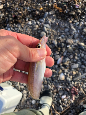 キスをちょっとだけ