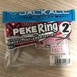 久々のライトゲーム