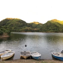 大幅減水の桜池