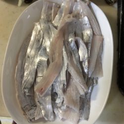 何匹釣れたか、わかりません。