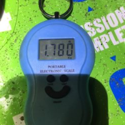 台風前にビッグフィッシュ！