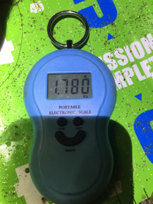 台風前にビッグフィッシュ！